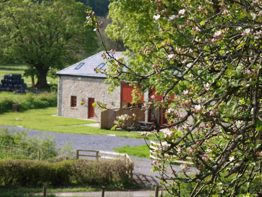 Peregrine Stable Cottage Llandovery Exteriér fotografie